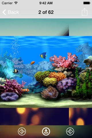 Aquarium Wallpaper: Best HD Wallpapers screenshot 2