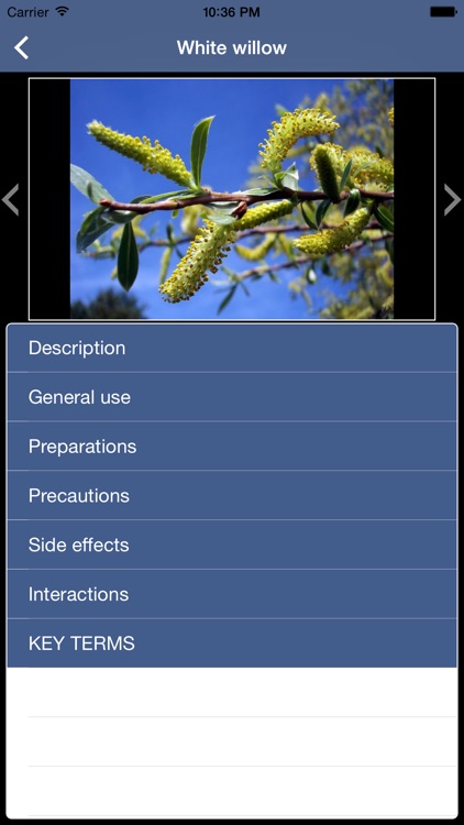 Encyclopedia of Alternative Medicine screenshot-4