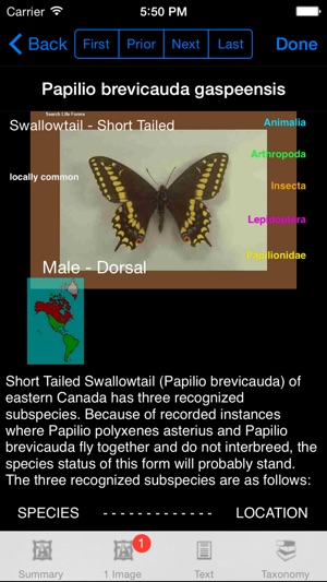 Butterflies & Moths of North America(圖4)-速報App