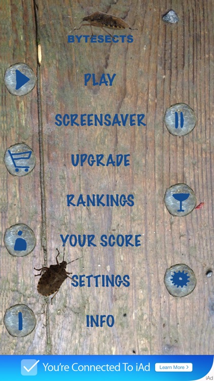 Bytesects  Real insects ants smasher game and screen saver kids game