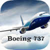 Boeing 737-700/800/NG System Knowledge & Type Rating Question Base - ahmet Baydas