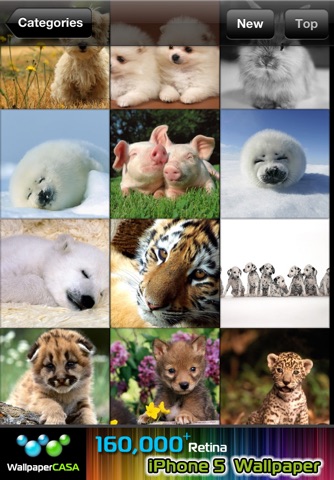 AnimalPix HD screenshot 2