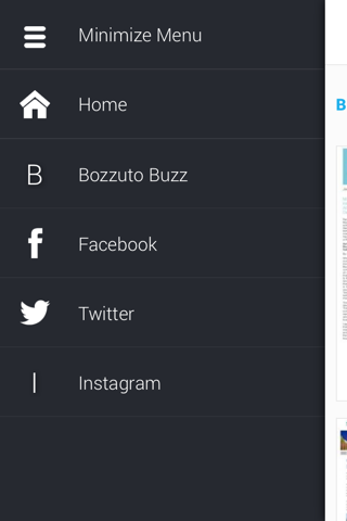 Bozzuto Buzz e-zine screenshot 4