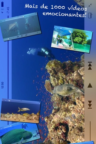 Scuba Diving - Amazing underwater world screenshot 2