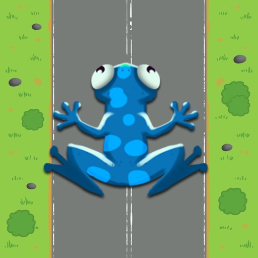 Frog Hero - Fun Arcade Crossing Game