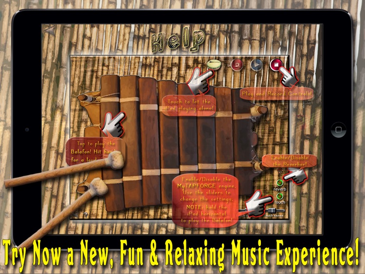 African Balafon Fun! - HD PRO screenshot-4