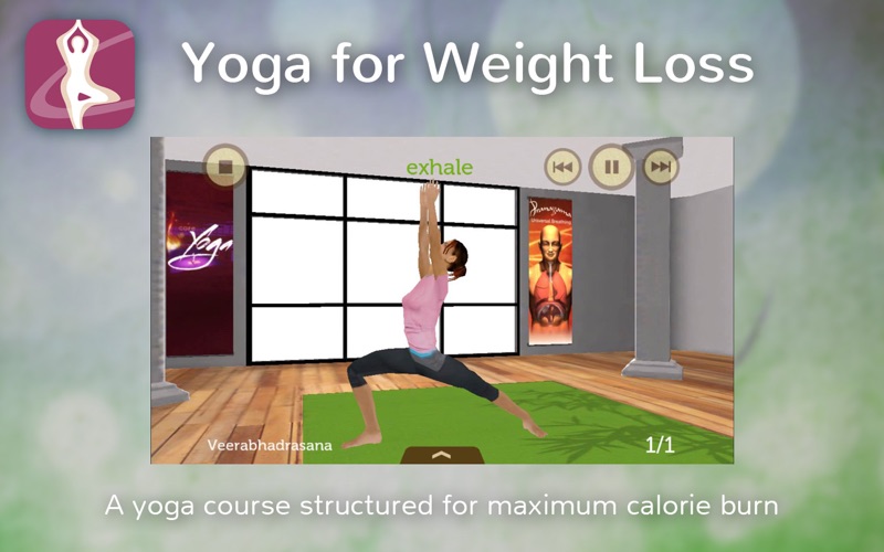 Yoga for Weightloss Screenshot