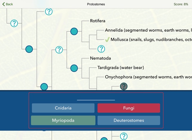 Tree of Life: Explore(圖3)-速報App