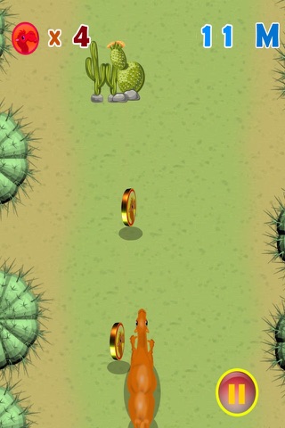 Camel Race - The Sandstorm Desert Strike screenshot 4