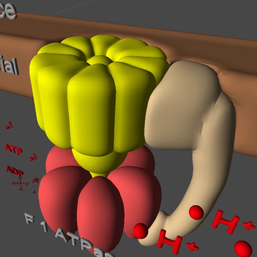 Cell Respiration in 3D virtual reality icon