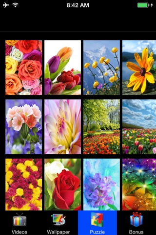 Flower Wallpapers For All screenshot 2