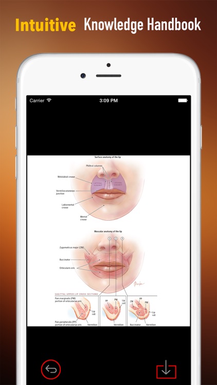Lip Injection 101: Reference of Cosmetic Surgery and Video Guide