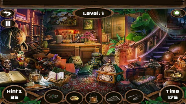 Hidden Objects:The True Story Hidden Obj