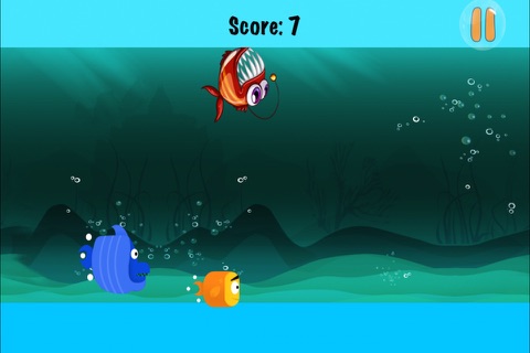 Catch the Fish - Underwater Animal Chasing Rush screenshot 2