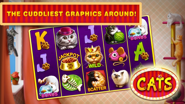 Cats Free Slots Casino Machines Jackpot