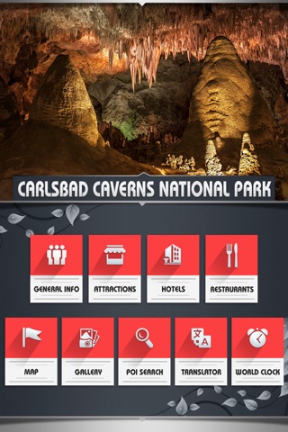 Carlsbad Caverns National Park - USA screenshot 2