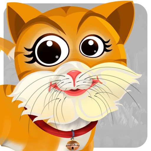 Save Lonely Cat HD Icon