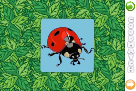 Good Match: Bugs! screenshot 3