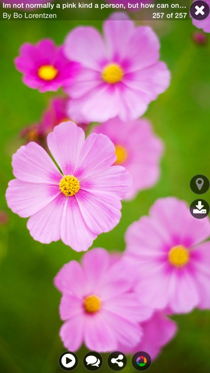 Explorer for Picasa