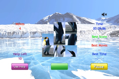 i'Slide Animals screenshot 4