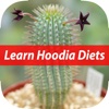 Facts of Hoodia Diet For Beginners