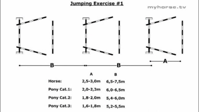 Horse Jumping Techniques(圖5)-速報App