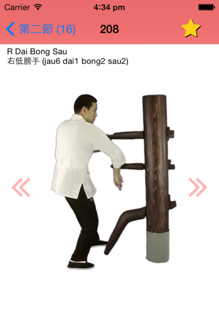 Wing Chun Wooden Dummy Form screenshot 3