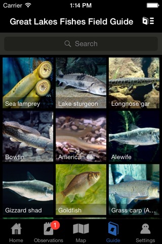 Great Lakes Fish Finder screenshot 3