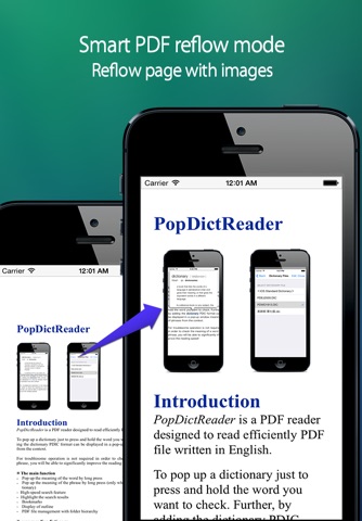 PopDictReader screenshot 3