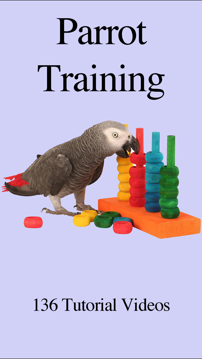 Parrot Training