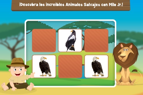 Milo's Free Photo Safari for Tots screenshot 4