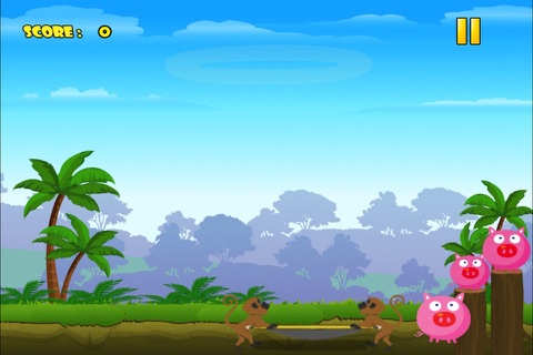 Super Pig Acrobat Jumping Rush - Piggy Food Collecting Game screenshot 2