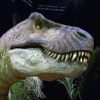 Dinosaur Puzzles for iPad