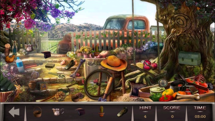 Courageous David - Coming Home Hidden Objects screenshot-3