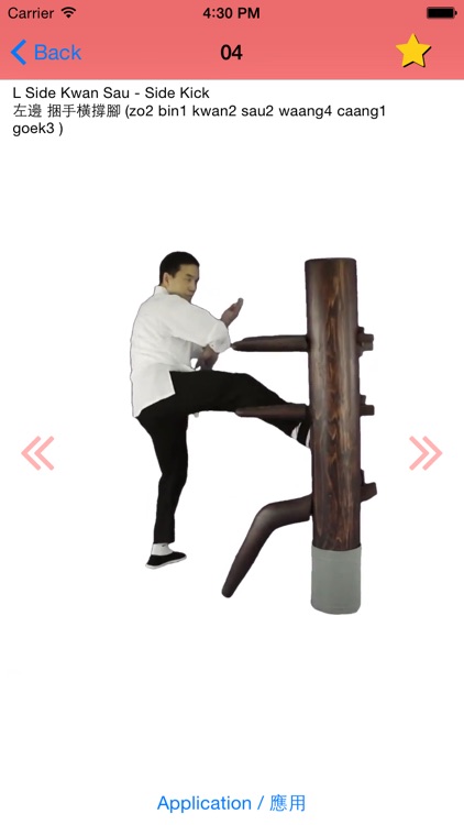 Wing Chun Kicking Dummy Form