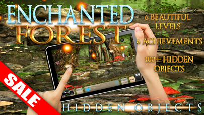 Hidden Objects Enchanted Forest Fantasy Kids Game (iPad Edition)のおすすめ画像1