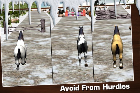 Horse Jungle Run 3D - Real Derby Stallion Riding Game in Snow Valley screenshot 3