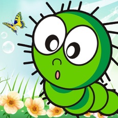 Activities of Learn Insect