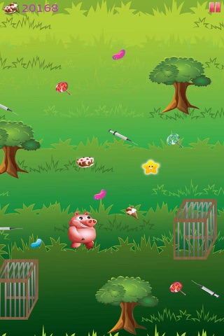 Hungry Panda and Animal Friends Run - How many Lollipop and Jellybeans can you find on the way? screenshot 4