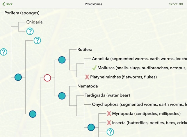 Tree of Life: Explore(圖1)-速報App