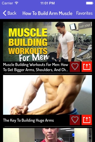 Muscles Building Guide screenshot 2