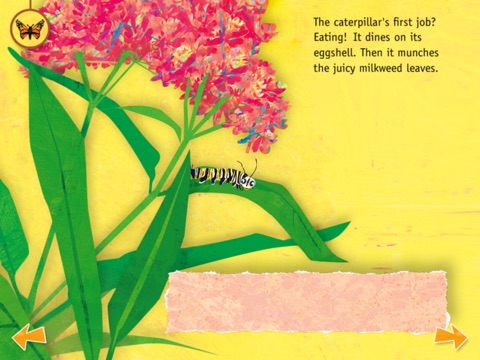 A Monarch Butterfly's Journey screenshot 4