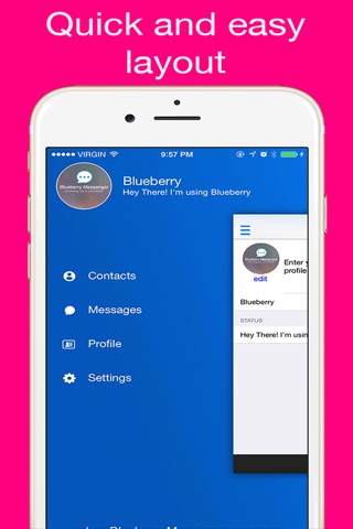 Blueberry Messenger screenshot 2