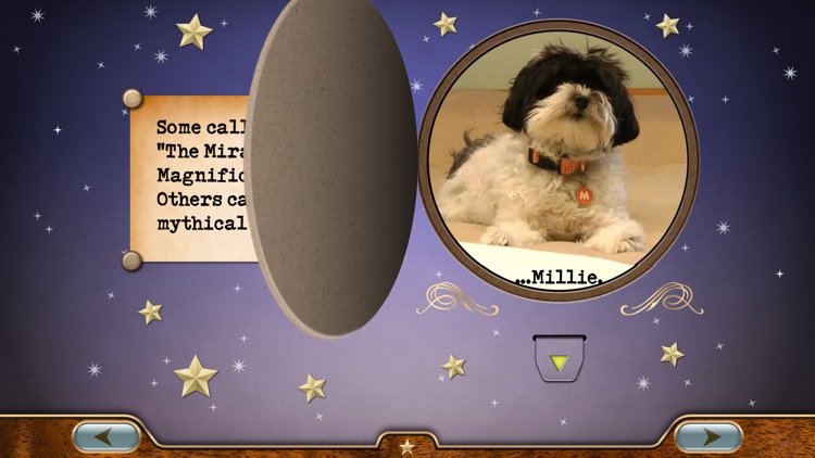 Millie Was Here, Book 1: Meet Millie
