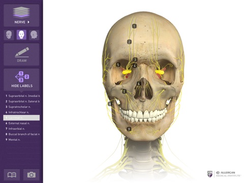 Interactive Anatomy - AE screenshot 4