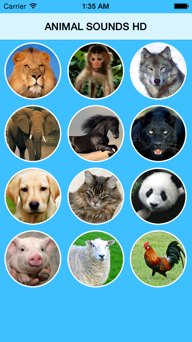 ANIMAL SOUNDBOARD SOUNDS Free Download App for iPhone - STEPrimo.com