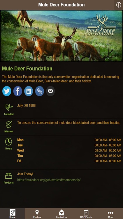 Mule Deer Foundation