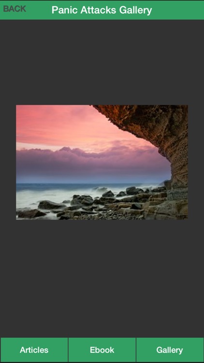 Panic Attacks Guide - Learn How to Relieve Panic Attacks Symptoms! screenshot-4