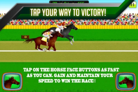 Champion of the Derby - Horse racing Game screenshot 2