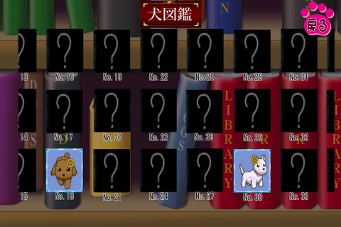 【育成ゲーム】子犬育ちトイプードル screenshot 3